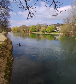 Balade en bord de Marne à partir du pont de Chennevières - Saint-Maur-des-Fossés - 2