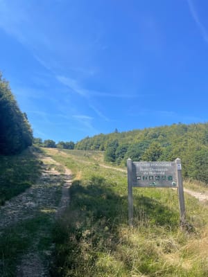 Été ou hiver, le col de la Charbonnière à Hohwald - Le Hohwald - 7