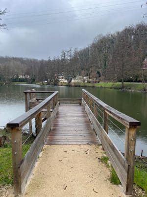 Charmes de la campagne de Maurepas et douce virée en forêt - Maurepas - 5