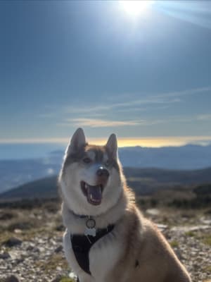 De tour van Haut Montet per opstijgen - Gourdon - 13