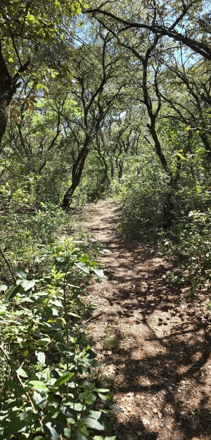 Marche à Bédarrides - Sorgues - 2