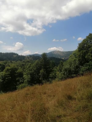 La Motte en Bauges - Saint-François-de-Sales - 4
