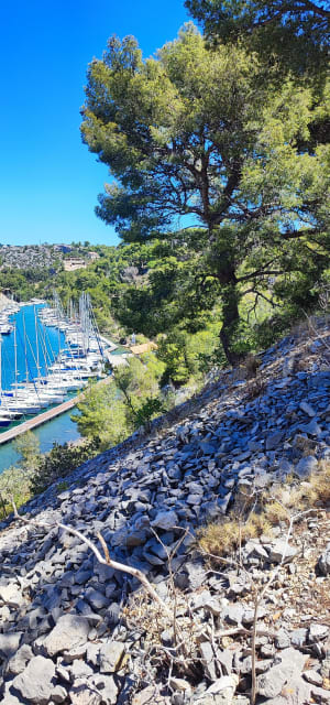 Incontournable Bestouan et charme des Calanques de Port-Miou - Cassis - 10