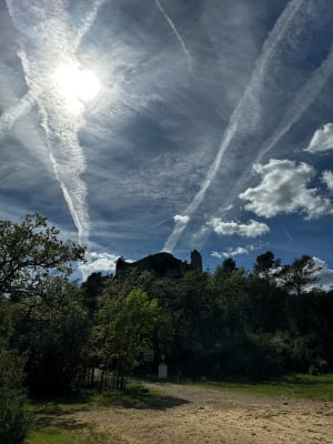 Forcalqueiret et le château de Castellas - Forcalqueiret - 2