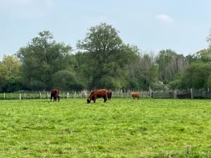 Merlimont et Le bout de Bas par la Canarderie - Merlimont - 12