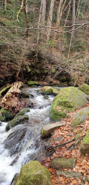 Gorges de Ceyrat - Ceyrat - 7
