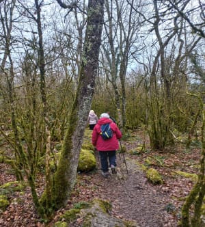 La Forêt Mystère du Réart - Jean marie - 25