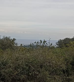 Promenade par les grottes, Pierre Tintante et de Col Gigean - Gigean - 13