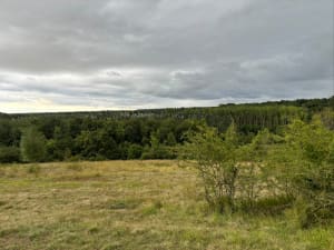 Sentier du dolmen et voyage à travers les siècles - Guiry-en-Vexin - 15