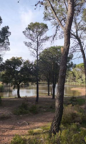 Les Terres Gastes, la Tranchée, petits lacs et forêt - Puget-sur-Argens - 16