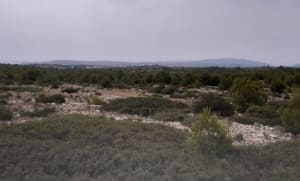 La Franquie entre mer et terre et Cap des Frères - SYLVAIN - 7
