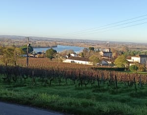 Entre château et vieux moulins à Fronsac - Fronsac - 3