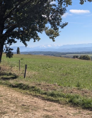 Balade familiale sur la colline de Revel - Nathalie - 3