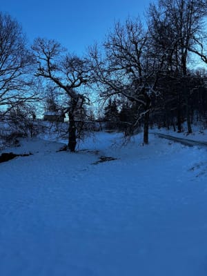 Super balade et panorama à 360 depuis Sallanches ! - Sandrine - 22