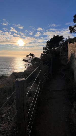 Het schiereiland Saint-Mandrier en zijn uitzonderlijke erfgoed - Saint-Mandrier-sur-Mer - 29