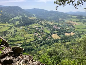 Balade sur les hauteurs de Greffeil - Greffeil - 9