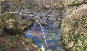 Boucle à Melles, mémorial de l'ours - Melles - 5