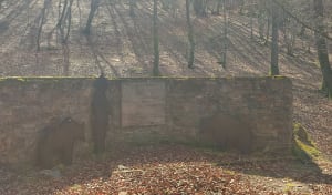 Boucle à Melles, mémorial de l'ours - Melles - 6