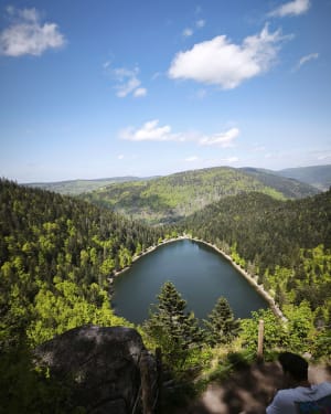 Raven Lake en zijn uitzichtpunt - La Bresse - 86
