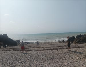 Promenade dans la vallée du Lude - Carolles - 12