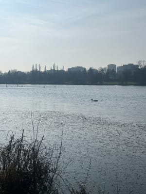Tout du lac Kir - Dijon - 3