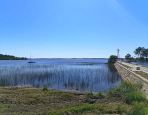 De tocht rond het meer van Lacanau - Lacanau - 3