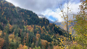 Belvédère du Pas du Roc - Fillière - 38