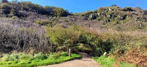 Promenade dans la vallée du Lude - Carolles - 56