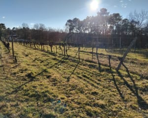 Boucle de la Vallée de la Conne de Labardee - Conne-de-Labarde - 11