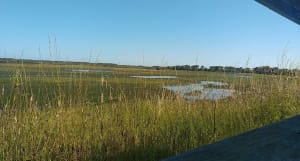 Schitterende wandeling naar Platier D'Oye - Gravelines - 27