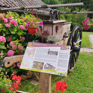 Le sentier de Lannoy - Auxi-le-Château - 13