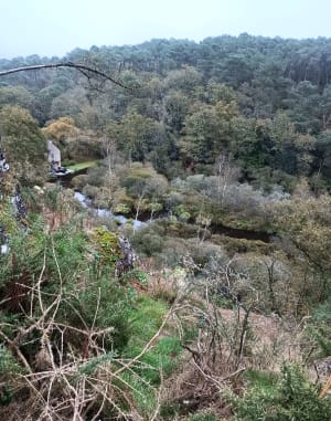 Moulin du Roho - Saint-Dolay - 11