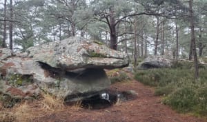 Du coté de Bourron Marlotte - Fontainebleau - 2
