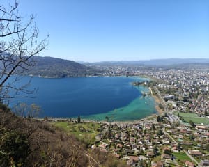 Balade en forêt et vue sur le lac d'Annecy - Annecy - 19