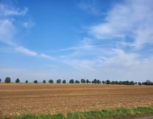 Entre chaussée de Jules et vallée aux Moines - Stefanie - 9