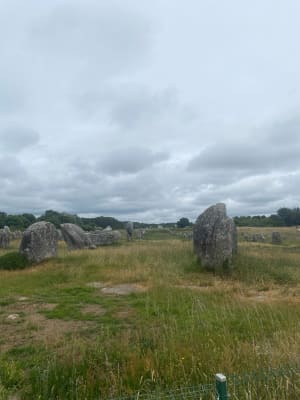 Les alignements de Carnac - Carnac - 10
