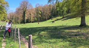 Balade autour de Mezy sur Seine et Juziers. - Hardricourt - 11