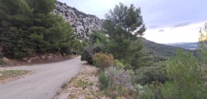 Coudon par les DFCI et les oliviers - La Valette-du-Var - 4