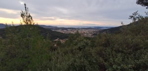 Coudon par les DFCI et les oliviers - La Valette-du-Var - 5