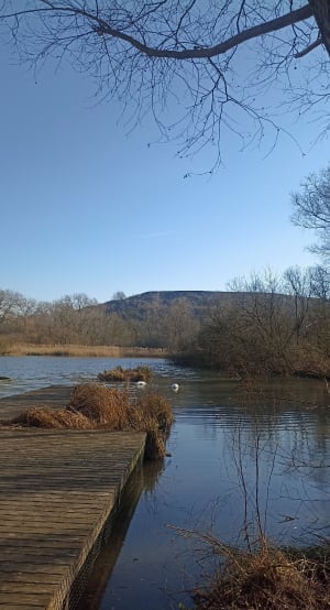 Sortie à Noyelles-sous-Lens vers Harnes et le bois de Florimond - Loison-sous-Lens - 12