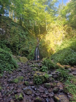 Oberhaslach et le Bois de Niederhaslach - Oberhaslach - 4