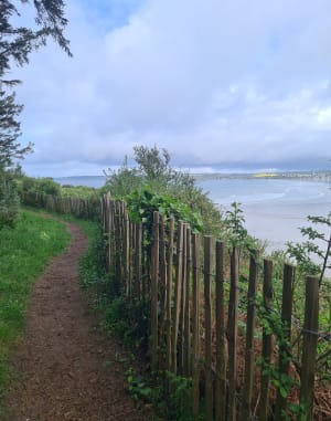Petite promenade à la pointe de Talagrip avec Wachthaus. - Plomodiern - 15