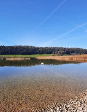 Le Tour du lac de Remoray - Labergement-Sainte-Marie - 3