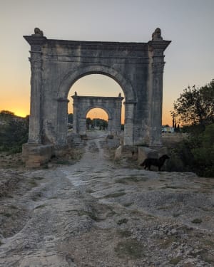La petite Camargue à St Chamas - Severine - 7