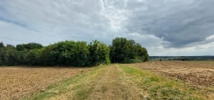Le Thoureil - Gennes-Val-de-Loire - 8