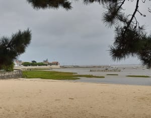 Balade au Fouras entre terre et mer - Fouras - 11