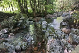 Goutte des Saules-watervalcircuit - Plancher-les-Mines - 34