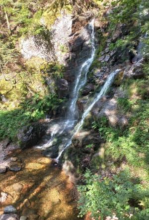 Goutte des Saules-watervalcircuit - Plancher-les-Mines - 35