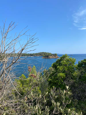 Sentier du littoral de La Londe-les-Maures - La Londe-les-Maures - 45