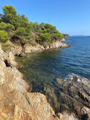 Sentier du littoral de La Londe-les-Maures - La Londe-les-Maures - 46
